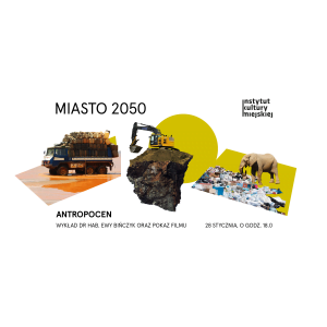 miasto5_2050a